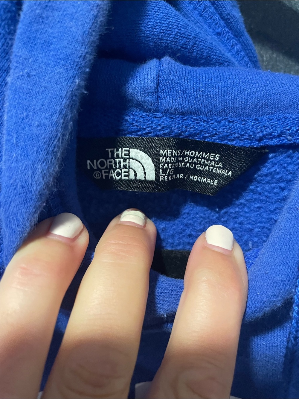 The North Face Blue Logo Pullover Hoodie Men’s Large Fleece Sweatshirt - Picture 3 of 9